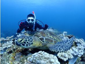 【石垣島・1日ダイビング】体験ダイビングとウミガメシュノーケリングの１日満喫プラン。追加で＋1dive可能
