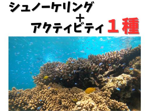 [Fully Private] Choose your own way to enjoy "Snorkeling tour on a private boat" + "Choose one marine activity"の画像
