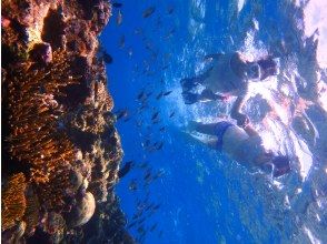 【沖縄久米島】シュノーケリングツアー