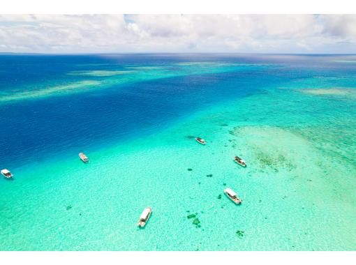 [Yaebishi Se] [Departing from Miyakojima City] [Drone photography included] Go by boat to Japan's largest coral reef! Yaebishi Se Coral Snorkeling Tour!の画像