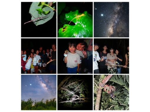 [Miyakojima/Night] Go on a night adventure! Jungle Night Tour ★ High satisfaction level with small group size! ★Starry sky x tropical creatures! Coconut crabs too!の画像