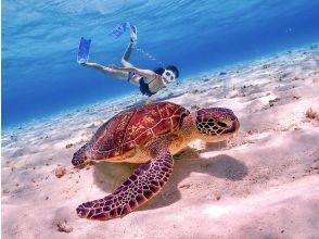 Miyakojima's most popular ★《100% encounter rate continues》【Sea turtle snorkeling】You can also see clownfish! Rain is OK! Same-day OK ★ Free data ★【Support for students】