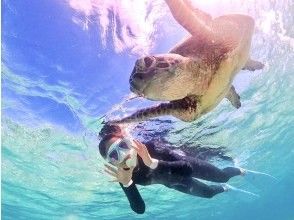 Miyakojima "Fully Private VIP" [Sea Turtle Snorkeling] Encounter rate continues to be 100%! All photo data will be given as a free gift! Super Summer Sale 2024