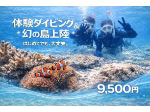 【石垣島・3時間】ダイビング初挑戦に最適！｜専属ガイドがご案内｜幻の島上陸＆体験ダイビング【写真無料】【無料送迎】〜初めての方が９割以上〜
