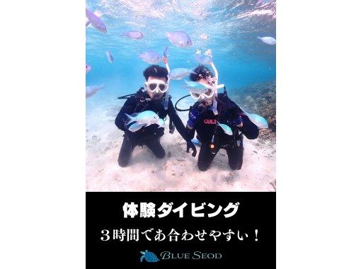 【石垣島・午前、午後/2便・3時間】旅行日程に合わせやすい｜初めてでも安心｜専属ガイドがご案内｜幻の島上陸＆体験ダイビング【写真無料】の画像