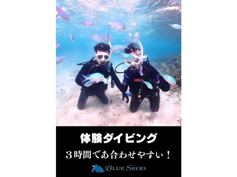 【石垣島・午前、午後/2便・3時間】旅行日程に合わせやすい｜初めてでも安心｜専属ガイドがご案内｜幻の島上陸＆体験ダイビング【写真無料】の紹介画像