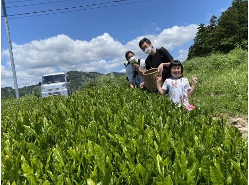 [Shizuoka/ Kakegawa] Tea picking experience at a superb view tea plantation by the world agricultural heritage "Chagusaba farming method" & original tea making with picked tea leaves ♪の画像