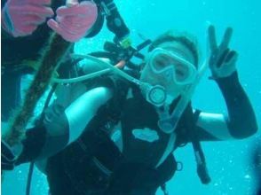 [Toyama Prefecture 2 hours] attractive blue sea to the world! Relaxing experience diving!の画像