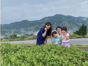 [Shizuoka/ Kakegawa] Tea picking experience at an old private house & BBQ charcoal grill lunch plan (limited to one group per day)の画像