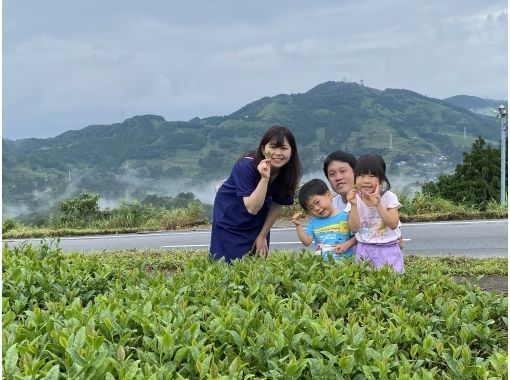 [Shizuoka/ Kakegawa] Tea picking experience at an old private house & BBQ charcoal grill lunch plan (limited to one group per day)の画像
