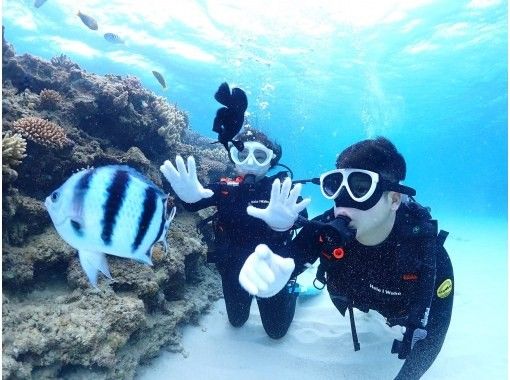 [Okinawa Minnajima, Sesokojima] No license required! Minna Island, Sesoko Island Experience Diving (1) First-timers are welcome!の画像