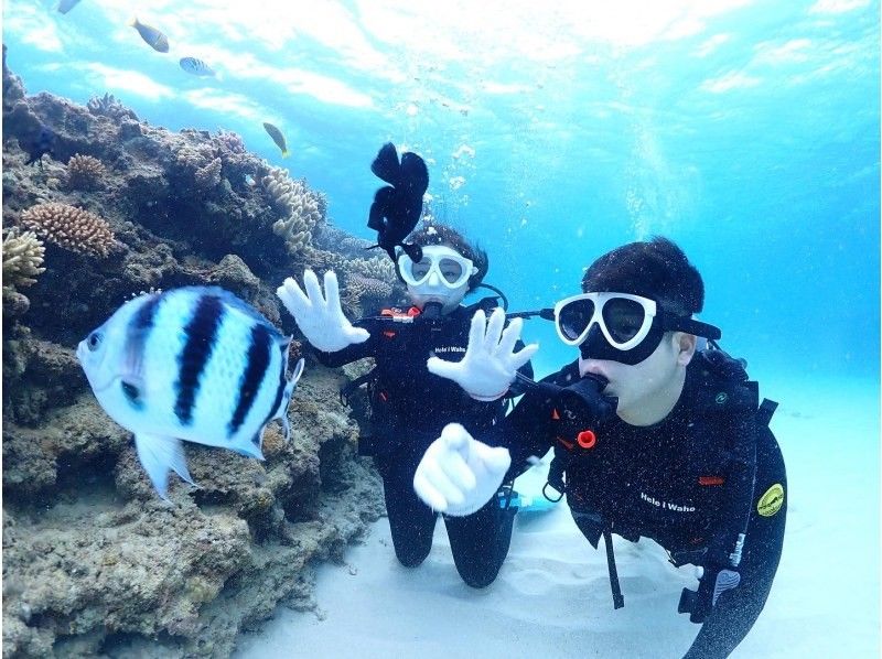 [Okinawa Minnajima, Sesokojima] No license required! Minna Island, Sesoko Island Experience Diving (1) First-timers are welcome!の紹介画像