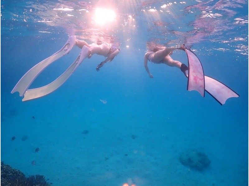 [Okinawa Minnajima, Sesokojima] Beginners welcome! Minna Island, Sesoko Island Skin Diving (free diving)1の紹介画像