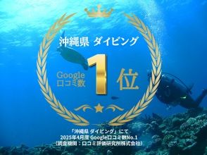 2025年4月度Google口コミ数「沖縄ダイビング」1位！那覇発・半日慶良間諸島海ガメに逢える！？器材レンタル付！ファンダイビング2回