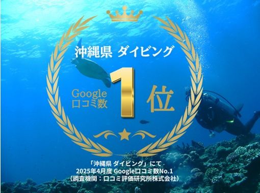 2025年4月度Google口コミ数「沖縄ダイビング」1位！那覇発・半日慶良間諸島海ガメに逢える！？器材レンタル付！ファンダイビング2回の画像