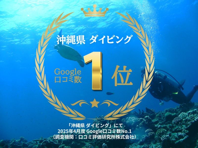 2025年4月度Google口コミ数「沖縄ダイビング」1位！那覇発・半日慶良間諸島海ガメに逢える！？器材レンタル付！ファンダイビング2回の紹介画像