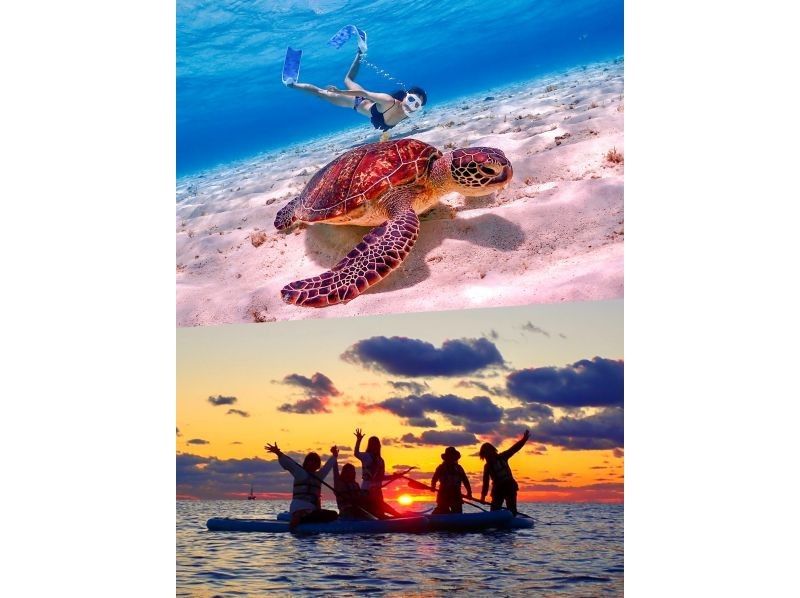 [Okinawa Miyakojima] Sea Turtle Snorkeling & Sunset SUP Tour｜Sea Turtle Encounter Rate 100% Ongoing