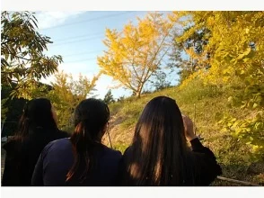 [Shizuoka/ Kakegawa] Autumn only ☆ September to November! Autumn-colored tea village picnic and chestnut kettle rice "Autumn blessing lunch"の画像