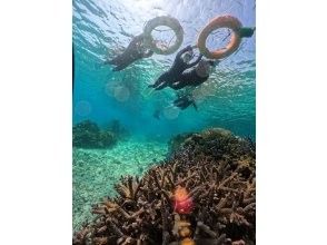 【沖縄・宮古島】珊瑚礁が隆起した島でビーチエントリー・スキンダイビングツアー！