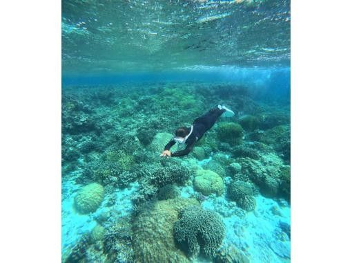 【沖縄・宮古島】伊良部島周辺ボートシュノーケル、スキンダイビングツアー！の画像