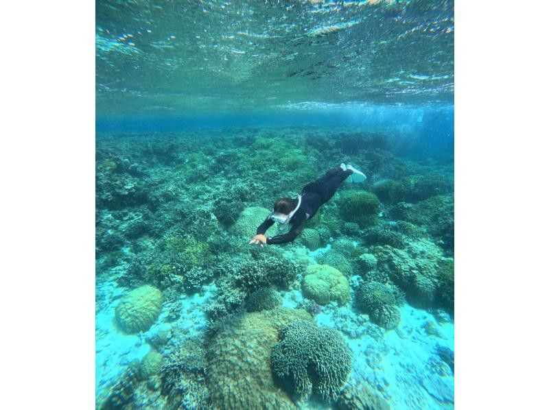 【沖縄・宮古島】伊良部島周辺ボートシュノーケル、スキンダイビングツアー！の紹介画像