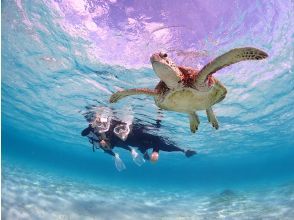 SALE! [Miyakojima] 《Encounter rate is still 100%!》 《Take photos with a high-performance underwater camera and make them look great on social media♡》 Sea turtle snorkeling! ★Reservations available on the day!