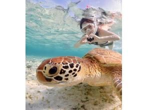 Miyakojima "Encounter rate 100% continues" [Sea turtle snorkeling] You can meet Nemo! ★Wetsuit and photo data are free! ★Reservations on the day are OK!