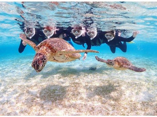 [Miyakojima] 《Encounter rate is still 100%!》 《Take photos with a high-performance underwater camera and make them look great on social media♡》 Sea turtle snorkeling! ★Reservations available on the day!の画像