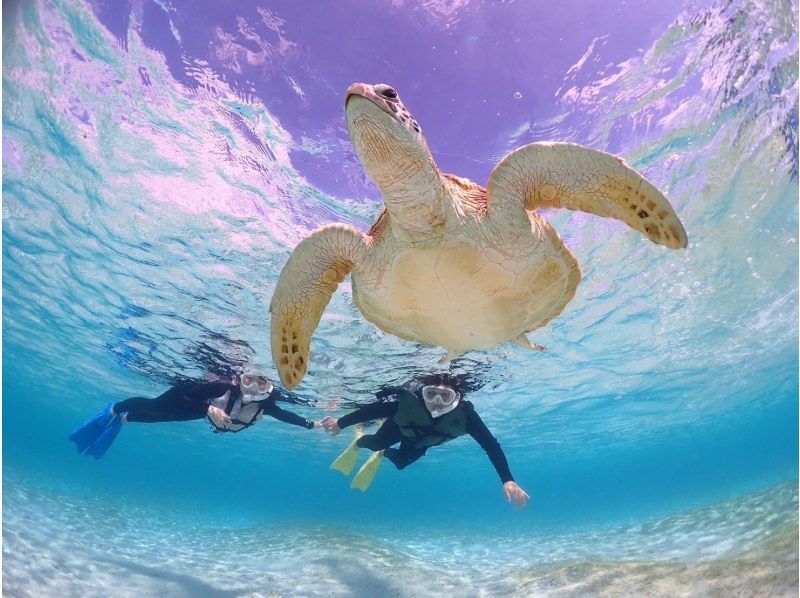 【北海道・SUP体験】透明度の高い支笏湖の湖面をクルージング！SUP体験（半日コース）の画像