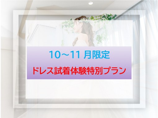 【東京・五反田】再来の方◆10-11月限定！土日祝日もOK！ドレス点数1着追加無料＋体験時間延長◆　憧れのブランドドレス試着体験の画像