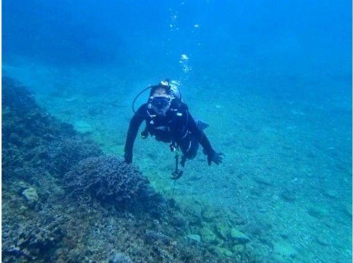 【沖縄・恩納村】体験ダイビング＆シュノーケル　熱帯魚コースの画像
