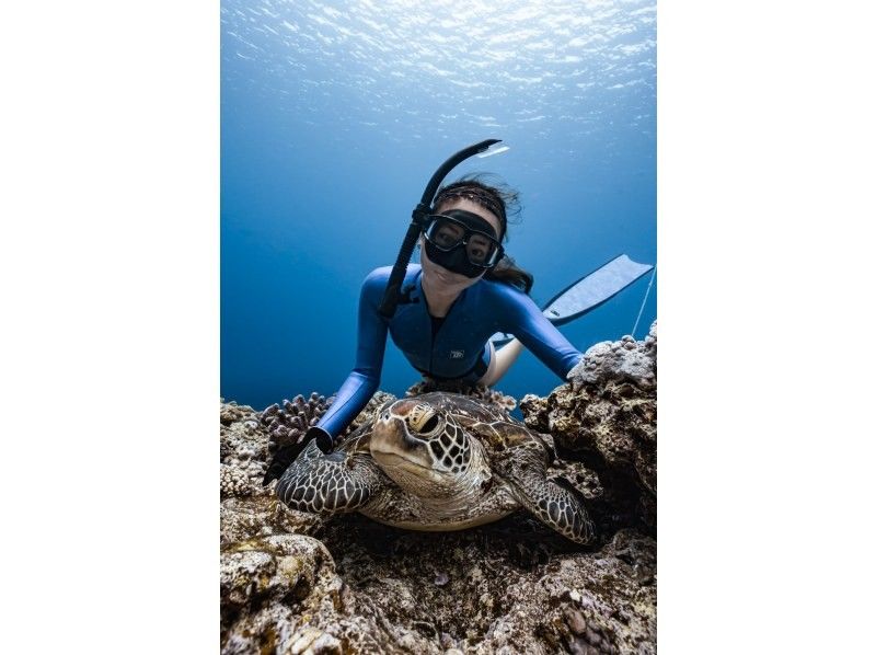 [Kouri Island] Snoring tour with underwater photography by a professional photographer