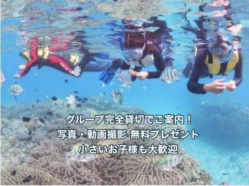 완전 전세 플랜 【추라우미 근처】 몇 살이라도 참가 OK!・비치 스노클링【사진 촬영・먹이기 체험・타월 첨부】본부・북부・얀바루の画像