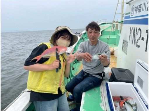 サマータイムセールの画像