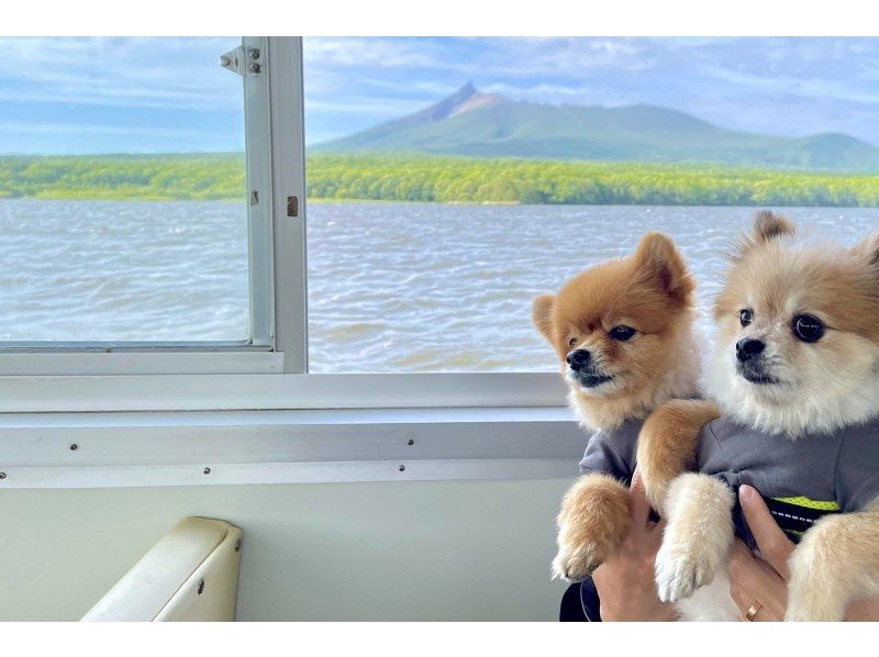 [Hokkaido/ Hakodate] Lake Onuma + Lake Konuma Island tour boat 1 lap 30 minutes planの紹介画像