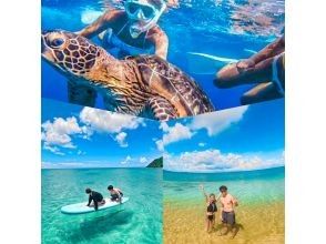 SALE! [Ishigaki Island] ★Limited to one group, private tour★Super easy snorkeling on a SUP! ✨I'm glad I came here! I'm sure you'll say it✨