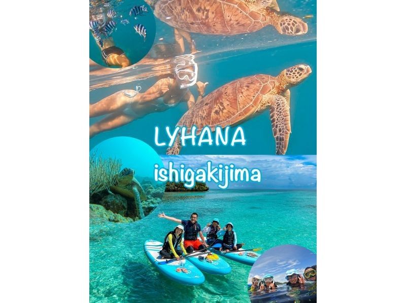 [Ishigaki Island] ★Private tour limited to one group★Super easy snorkeling on a SUP! ✨I'm sure you'll be glad you came here! ✨の紹介画像