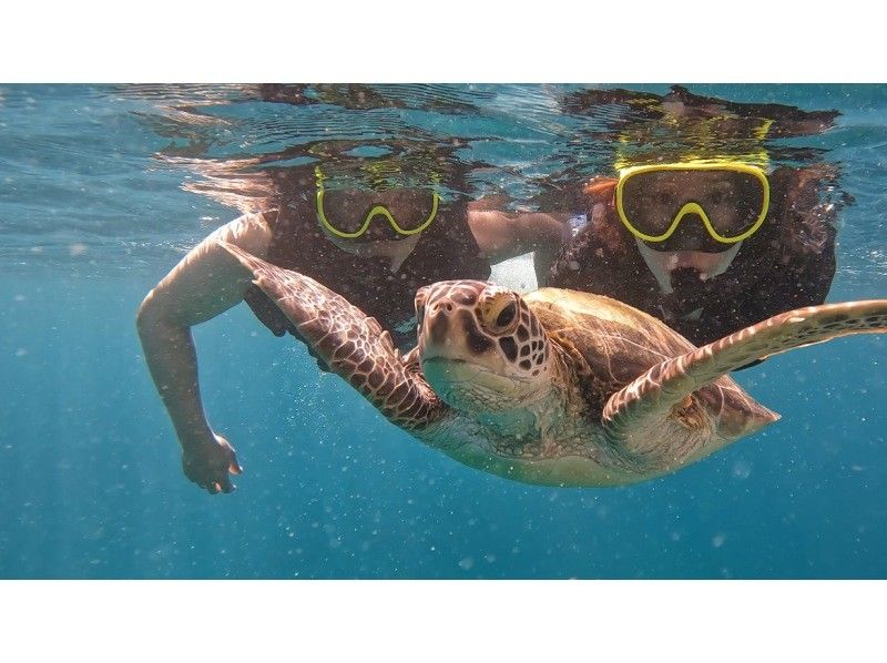 [Ishigaki Island] Limited to one group only: Choose from either <SUP & Snorkeling in the Island's Most Beautiful Sea> or <SUP & Sea Turtle Snorkeling>! A very popular tour!の紹介画像