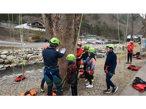 [Available throughout Iwate Prefecture] Let's enjoy the scenery on the tree while learning about nature! Ideal for educational sites and events! Tree climbing experience!の画像