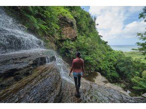 【沖縄・西表島】世界遺産のジャングルを！ゲータの滝へ〜絶景！ジャングルシャワーハイキング！お一人様大歓迎の画像