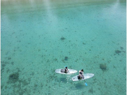 奄美大島【当日予約可能】クリアSUP（60分）※ドローン空撮等写真の無料プレゼントあり※お1人様もお任せ下さい☆の画像