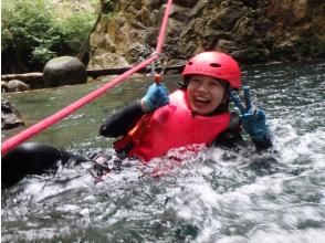 ZIGGIES ADVENTURE JAPAN