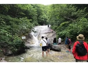 【北海道・知床】「カムイワッカ湯の滝」体験ツアー（7月限定）