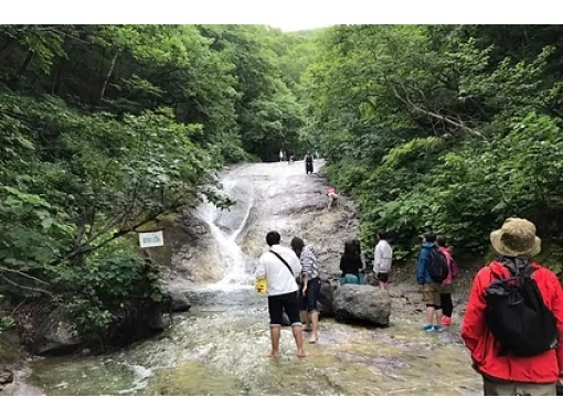 【北海道・知床】「カムイワッカ湯の滝」体験ツアー（7月限定）の画像