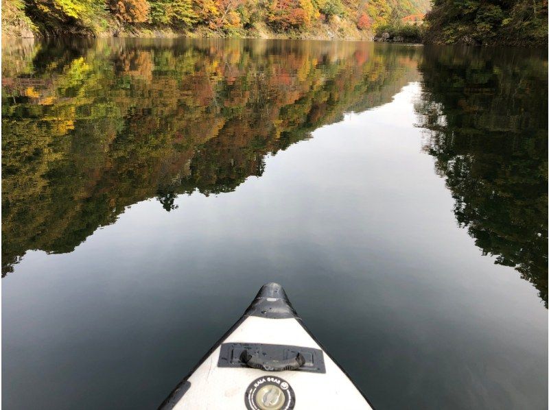 Canoe experience! Tour photo free gift ♪の紹介画像