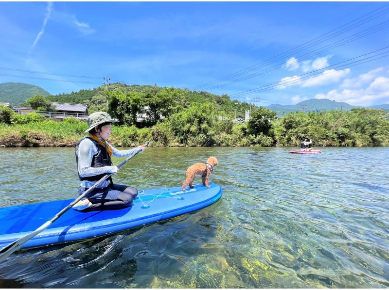 "Super Summer Sale 2024" [Tokushima/Mugi] [Early Morning] [Pets OK] For those who want a relaxing experience! Early Morning SUP (Stand Up Paddle) Experienceの紹介画像