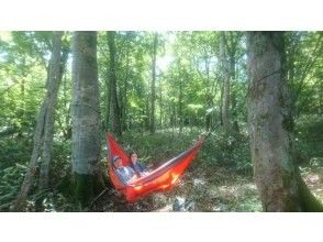 [Tochigi/Okukinu] Children are delighted! Okukinu Bunadaira Hammock Hiking ＼Exclusive tour for hotel guests／の画像