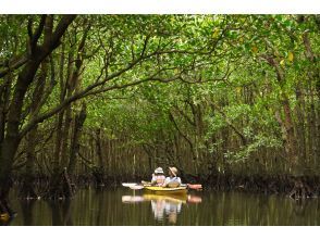[Okinawa, Iriomote Island] Easy half-day experience Mangrove Kayaking Tour [Kayaking]