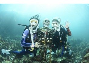 [Departing from Yokohama] [Shizuoka/Higashiizu area] From 12,000 yen Even if you are just one person, you can enjoy the summer tour! 2 Beach fun diving