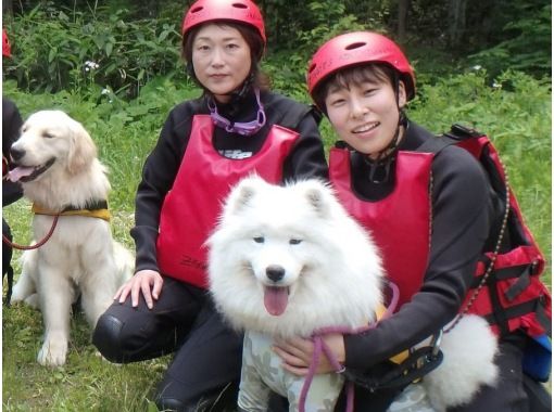 [Gunma, Minakami] 『Held on July 21st and August 2nd』 Shower climbing with your beloved dog!の画像